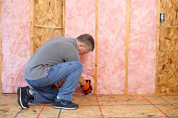 Best Types of Insulation in Rancho Alegre, TX