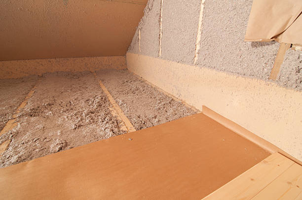 Best Commercial Insulation in Rancho Alegre, TX